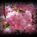 구름바람 이미지