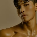 더라이프 이미지