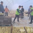 문백농업협동조합 이미지