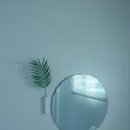 미아니아 이미지