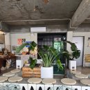 카페길 광안 | 남천동카페 광안리카페 스크러피 광안점 내돈내산 후기