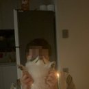 헬퍼독 애견펜션