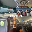 G3132 | 상하이여행 고속열차 타는법 완벽정리 + 홍차오역 G열차 일등석 후기