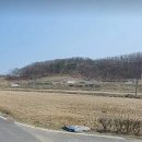 영농조합법인대륙(대륙제2태양광발전소) | 농지에서 카페 제과점, 영농형 태양광발전 가능 한가?