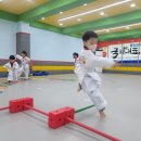 용인대청솔태권도 이미지