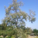 시골나들이 이미지