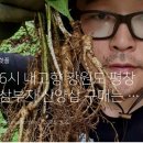 평창 삼부자 산양삼 오크큐브 구매후기