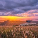 황매산 이미지