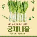 궁채 이미지