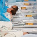 세쌍둥이네 이미지