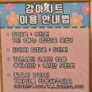 강아지트 이미지