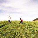 똘똘이 목장 이미지