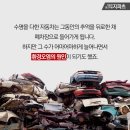 자동차프라자 이미지