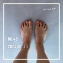 성찬농장 | 2025년 6월의 기록