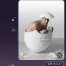 내가만든집