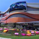 동남세탁소 | 태국 치앙마이 디콘도 사인 님만해민 버리고 한달살기 숙소로 선택한 이유!