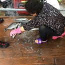 남쪽나라민박 이미지