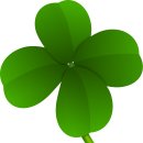 화모아한의원 이미지