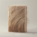 뷰티 파트너 이미지