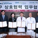 힐메디텍 쿠키뉴스