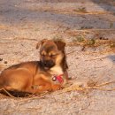 모악산주차장 이미지