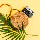 라탄 공예(야) 이미지