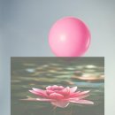 자연향기민박 이미지