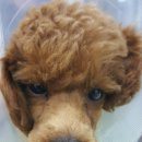 한라동물종합병원 이미지