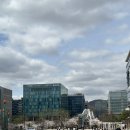 굿모닝빌딩앞 육교밑 | 판교 벚꽃 산책 코스 | 봇들저류지공원 탄천 봄꽃 후기