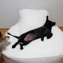 블루짐 이미지
