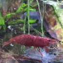 소마농장 이미지