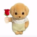 예원서점 이미지