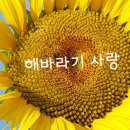 행복가득 이미지