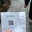 순천만국가정원(동문) | 순천만국가정원 가을 산책 후기(입장료, 동문 주차장)