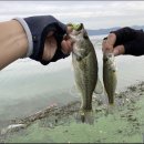 아산호로 이미지