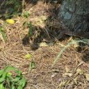 김순기농장 이미지