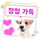 정이네산낙지 이미지