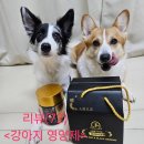 국포1로 | (강아지 영양제 추천)금산이가 고려흑삼펫 영양제 급여후기