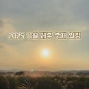 갯것이 | 제주 아이와 가기 좋은 11월 제주 축제｜교육 문화 예술축제·감귤·방어 코스