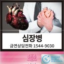 비스타 이미지