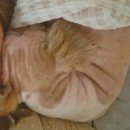 동읍333 | 우당탕탕 9월 일상