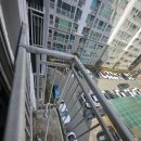 비둘기2길 이미지