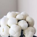 강남스파 이미지