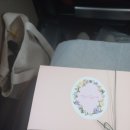 눈비산마을 공동체농장 이미지