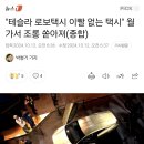 테슬라 로보택시 발표, 월가는 혹평 "이빨 없는 택시, 실현가능성 근거가 거의 없는 허황된 목표" 이미지