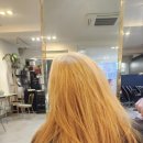 하루다과 이미지