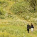 보은패션 이미지