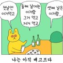엑스샷 이미지