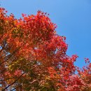 장현천 | 🌾 시흥 장현천 산책코스 — 부부 힐링 산책 후기