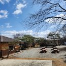 사과나무커피나무 이미지